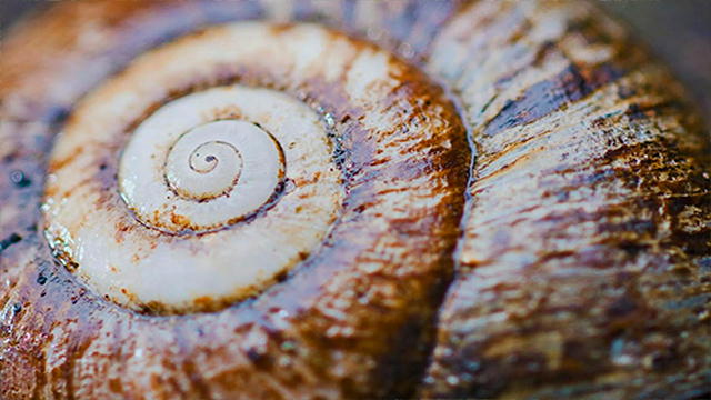 Richmond Range National Park